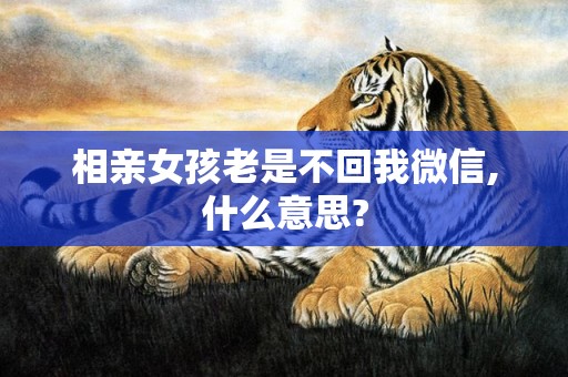 相亲女孩老是不回我微信,什么意思?