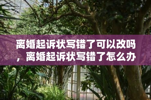 离婚起诉状写错了可以改吗，离婚起诉状写错了怎么办