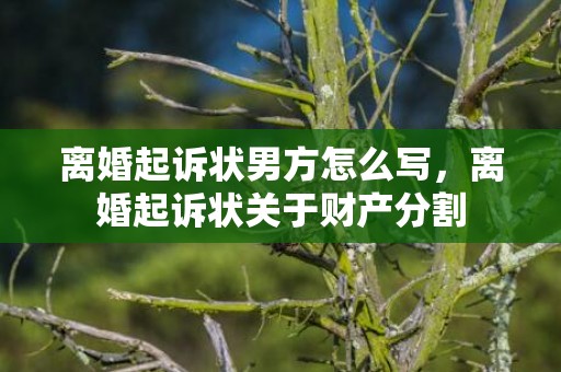 离婚起诉状男方怎么写，离婚起诉状关于财产分割