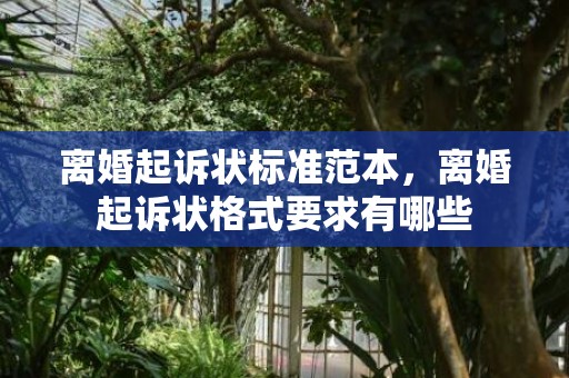 离婚起诉状标准范本，离婚起诉状格式要求有哪些
