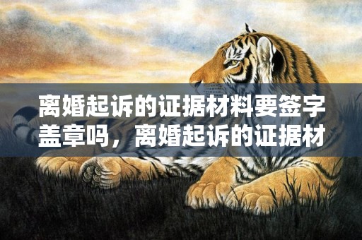 离婚起诉的证据材料要签字盖章吗，离婚起诉的证据材料有哪些