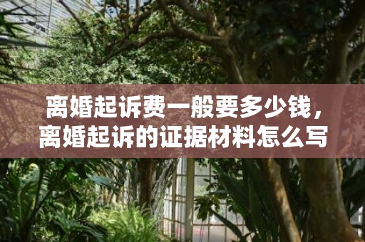 离婚起诉费一般要多少钱，离婚起诉的证据材料怎么写