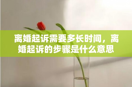 离婚起诉需要多长时间，离婚起诉的步骤是什么意思