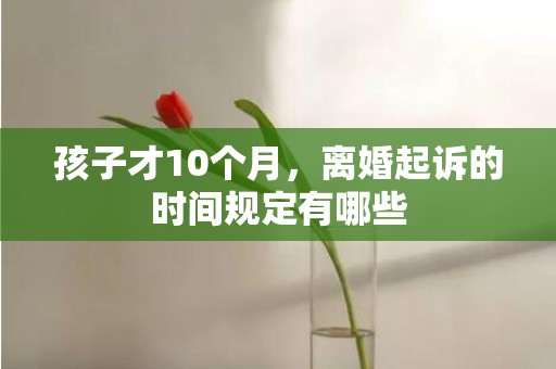 孩子才10个月，离婚起诉的时间规定有哪些