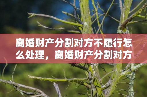 离婚财产分割对方不履行怎么处理，离婚财产分割对方隐瞒财产（离婚时对方隐瞒财产）