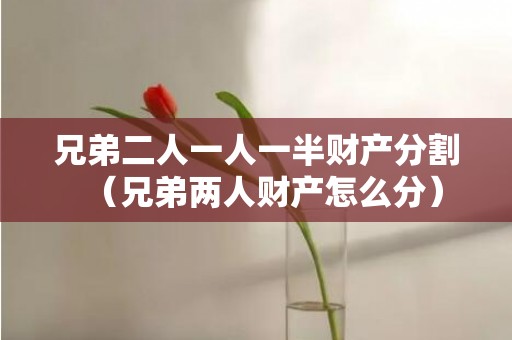 兄弟二人一人一半财产分割（兄弟两人财产怎么分）