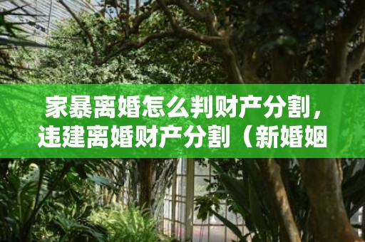 家暴离婚怎么判财产分割，违建离婚财产分割（新婚姻法关于离婚财产分割）