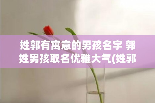 姓郭有寓意的男孩名字 郭姓男孩取名优雅大气(姓郭有寓意的男孩名字2023年)