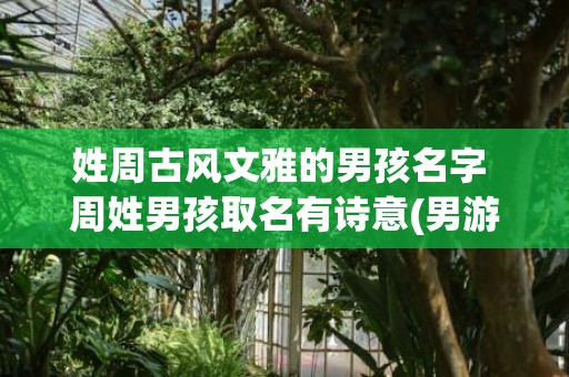 姓周古风文雅的男孩名字 周姓男孩取名有诗意(男游戏名字古风文雅)