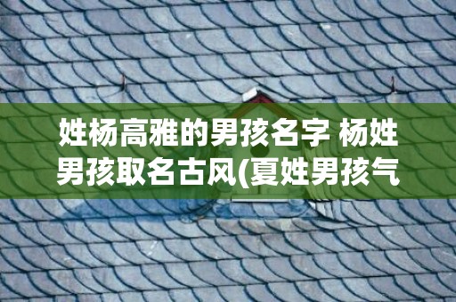 姓杨高雅的男孩名字 杨姓男孩取名古风(夏姓男孩气质高雅名字)