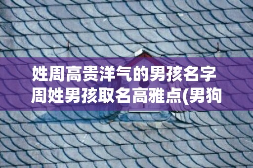 姓周高贵洋气的男孩名字 周姓男孩取名高雅点(男狗狗高贵洋气的名字)