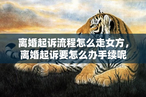 离婚起诉流程怎么走女方，离婚起诉要怎么办手续呢