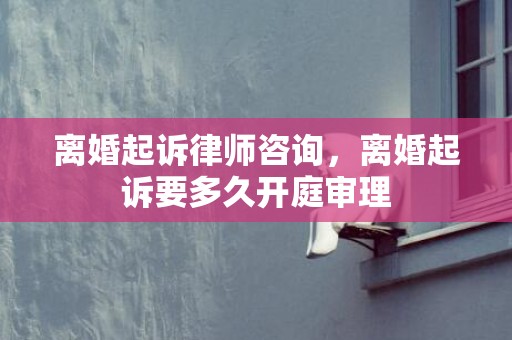 离婚起诉律师咨询，离婚起诉要多久开庭审理