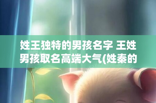 姓王独特的男孩名字 王姓男孩取名高端大气(姓秦的男孩名字独特的)