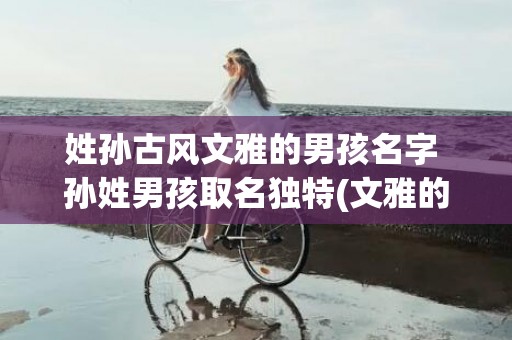 姓孙古风文雅的男孩名字 孙姓男孩取名独特(文雅的古风男名)