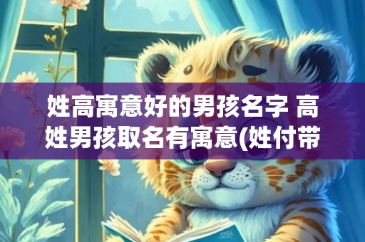 姓高寓意好的男孩名字 高姓男孩取名有寓意(姓付带寓意的男孩名字)