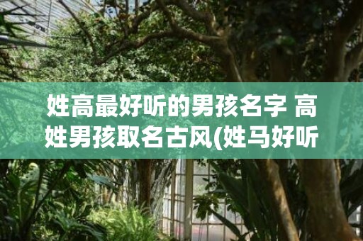 姓高最好听的男孩名字 高姓男孩取名古风(姓马好听稀少的男孩名字)