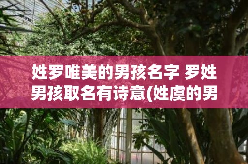 姓罗唯美的男孩名字 罗姓男孩取名有诗意(姓虞的男孩名字唯美)