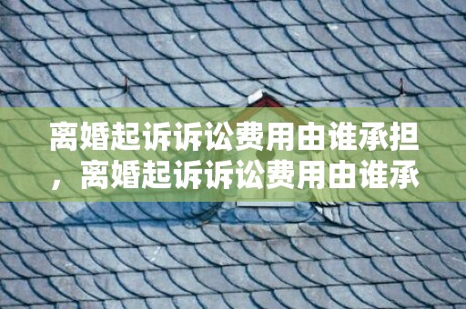 离婚起诉诉讼费用由谁承担，离婚起诉诉讼费用由谁承担