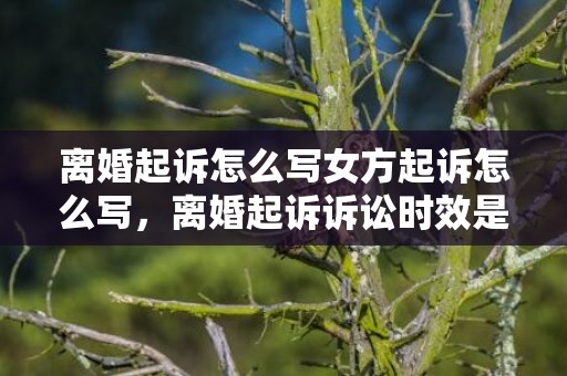 离婚起诉怎么写女方起诉怎么写，离婚起诉诉讼时效是多久