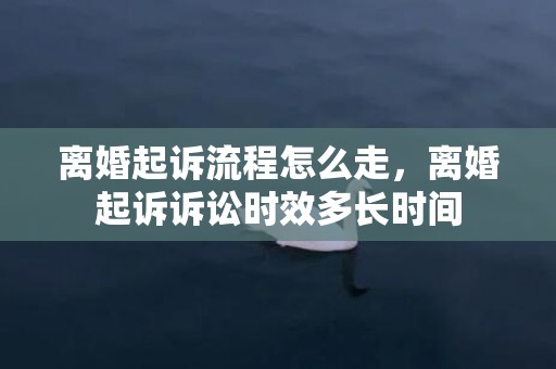 离婚起诉流程怎么走，离婚起诉诉讼时效多长时间