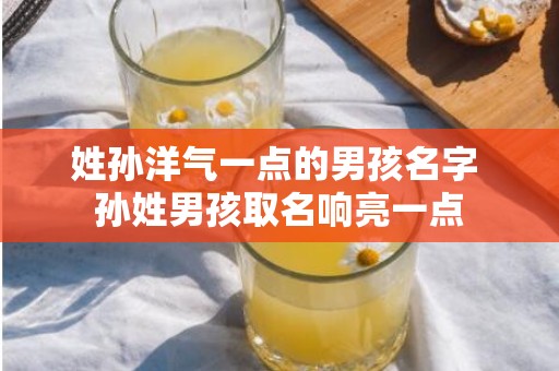 姓孙洋气一点的男孩名字 孙姓男孩取名响亮一点