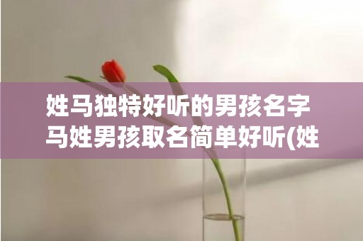 姓马独特好听的男孩名字 马姓男孩取名简单好听(姓向独特好听的网名)
