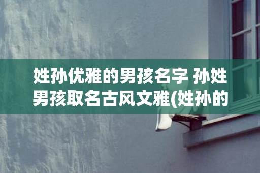 姓孙优雅的男孩名字 孙姓男孩取名古风文雅(姓孙的男孩起什么名好)