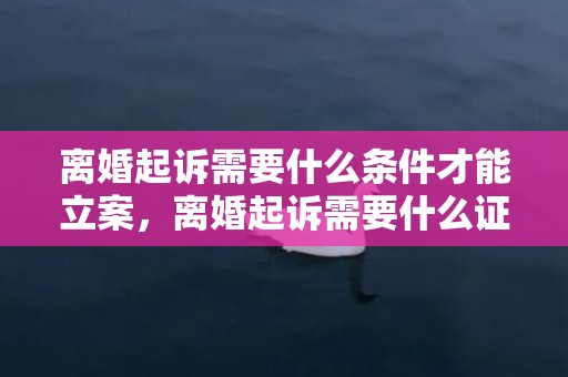 离婚起诉需要什么条件才能立案，离婚起诉需要什么证件