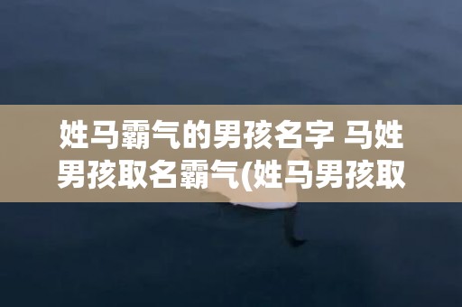 姓马霸气的男孩名字 马姓男孩取名霸气(姓马男孩取什么名字霸气)