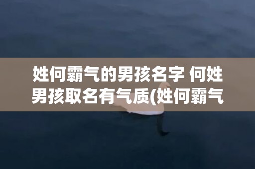 姓何霸气的男孩名字 何姓男孩取名有气质(姓何霸气的男孩名字三个字)