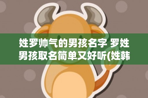 姓罗帅气的男孩名字 罗姓男孩取名简单又好听(姓韩的男孩名字帅气一点的)