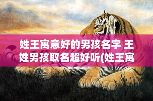 姓王寓意好的男孩名字 王姓男孩取名超好听(姓王寓意好的男孩名字)