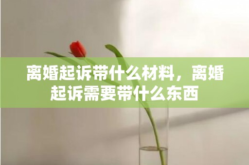离婚起诉带什么材料，离婚起诉需要带什么东西