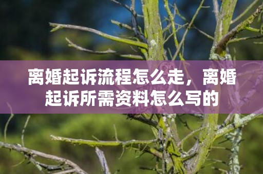 离婚起诉流程怎么走，离婚起诉所需资料怎么写的