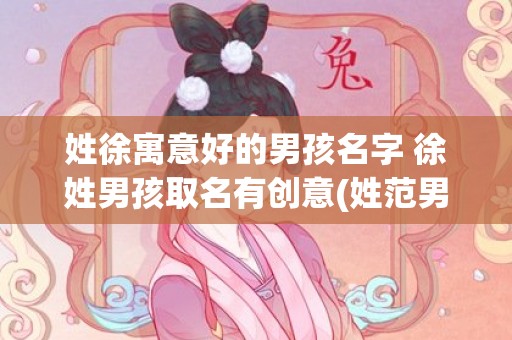 姓徐寓意好的男孩名字 徐姓男孩取名有创意(姓范男孩寓意好的名字)
