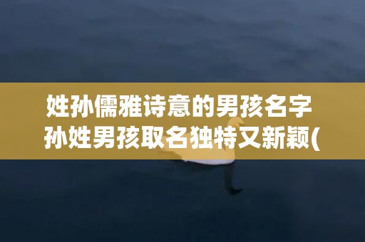 姓孙儒雅诗意的男孩名字 孙姓男孩取名独特又新颖(有诗意又儒雅的名字男)