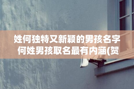 姓何独特又新颖的男孩名字 何姓男孩取名最有内涵(贺姓独特新颖的女孩名字)