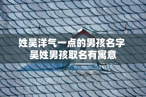 姓吴洋气一点的男孩名字 吴姓男孩取名有寓意