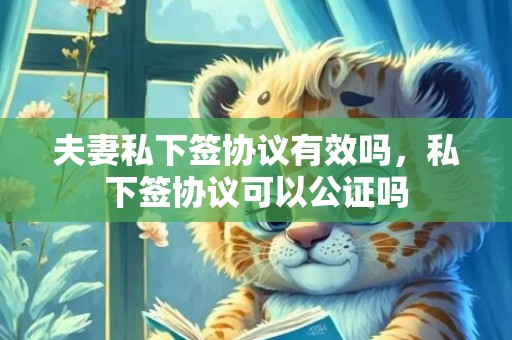 夫妻私下签协议有效吗，私下签协议可以公证吗