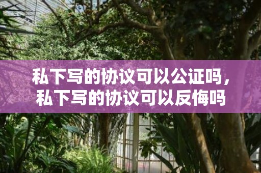 私下写的协议可以公证吗，私下写的协议可以反悔吗