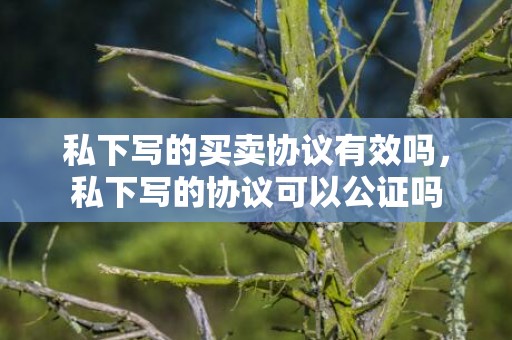 私下写的买卖协议有效吗，私下写的协议可以公证吗