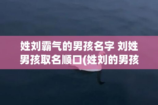 姓刘霸气的男孩名字 刘姓男孩取名顺口(姓刘的男孩名字霸气两字)
