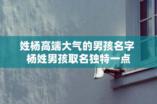 姓杨高端大气的男孩名字 杨姓男孩取名独特一点