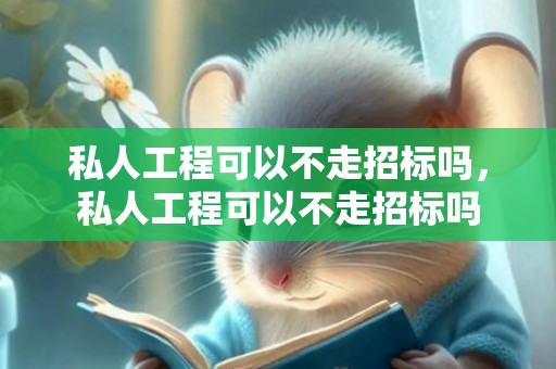 私人工程可以不走招标吗，私人工程可以不走招标吗