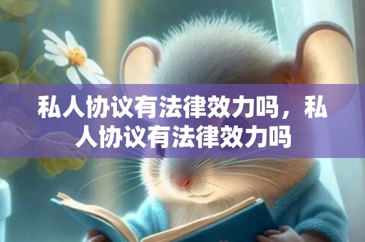 私人协议有法律效力吗，私人协议有法律效力吗