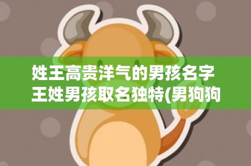 姓王高贵洋气的男孩名字 王姓男孩取名独特(男狗狗高贵洋气的名字)