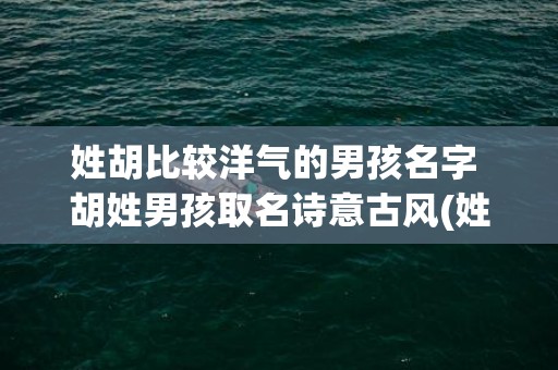 姓胡比较洋气的男孩名字 胡姓男孩取名﻿诗意古风(姓胡比较洋气的男孩名字)
