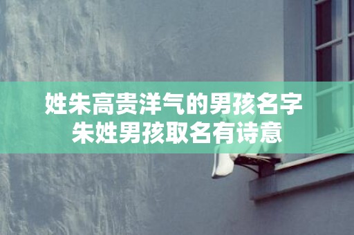 姓朱高贵洋气的男孩名字 朱姓男孩取名有诗意