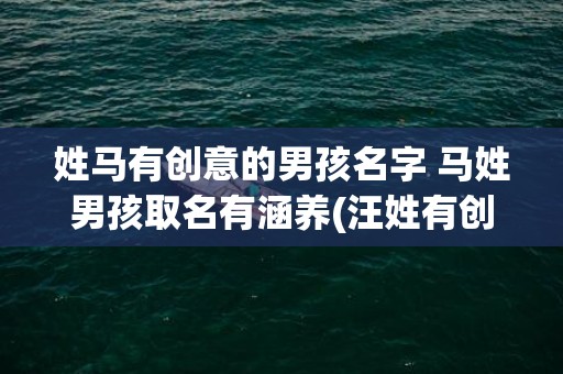 姓马有创意的男孩名字 马姓男孩取名有涵养(汪姓有创意的名字男孩)